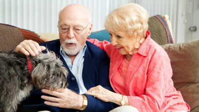 Buying Tips on How to Choose a Comfortable Bed for Aging Pets 97 Bed for Aging Pets Buying Tips on How to Choose a Comfortable Bed for Aging Pets - 33