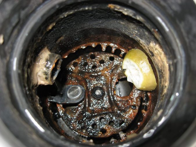 Garbage Disposal From Above 10 Tips to Buy Best Garbage Disposals for Different Waste Types - 10