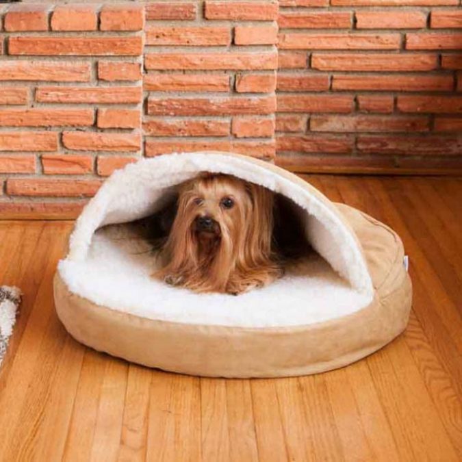 Buying Tips on How to Choose a Comfortable Bed for Aging Pets 4 The accessibility Buying Tips on How to Choose a Comfortable Bed for Aging Pets - 4