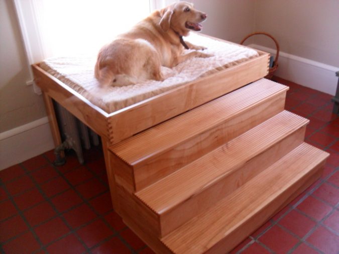 The size Buying Tips on How to Choose a Comfortable Bed for Aging Pets - 5