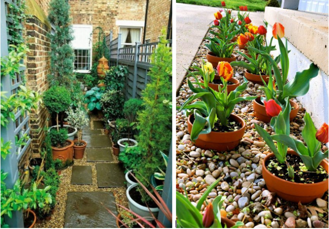home gardens plant pots 10 Garden Trends around the World that You Haven't Heard of - 6