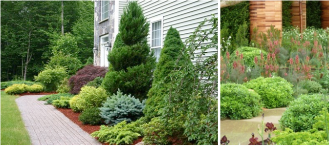 home gardens shrubs 10 Garden Trends around the World that You Haven't Heard of - 12