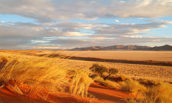 landscape-nambia-675x405 World’s Rarest Wildlife Places