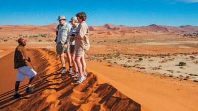 namibia desert dune active sousslvlei daniel myburg 1 World’s Rarest Wildlife Places - 8