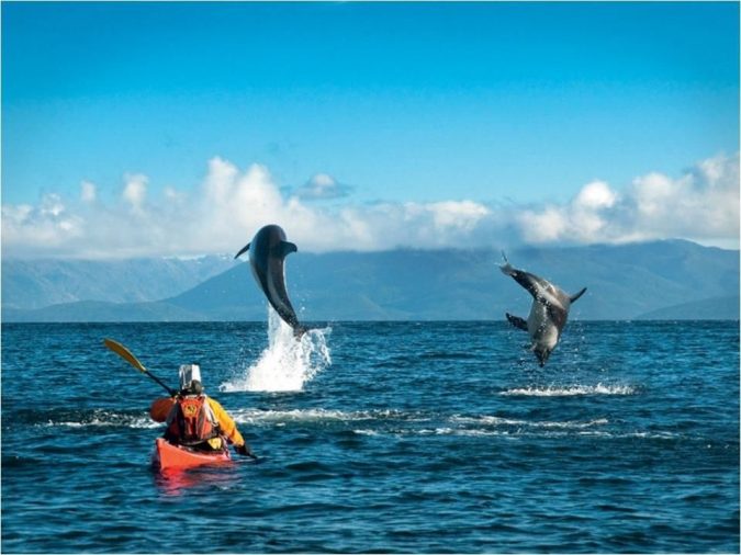 The Neptune Project: Ambitious Step to Eliminate Single-Use Plastics 2 Ocean The Neptune Project: Ambitious Step to Eliminate Single-Use Plastics - 2