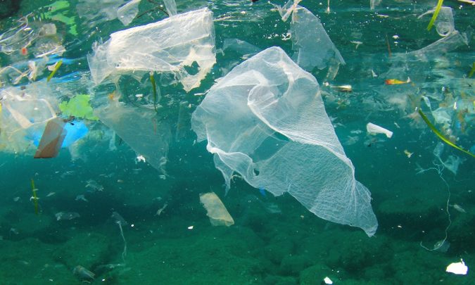ocean plastic pollution The Neptune Project: Ambitious Step to Eliminate Single-Use Plastics - 4