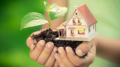 Eco friendly house 2 How to Budget Naturally When Settling Down - 1