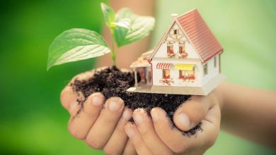 Eco friendly house 2 How to Budget Naturally When Settling Down - 7