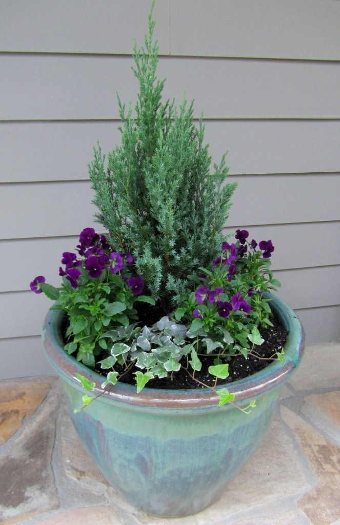 hoe garden winter container gardening Top 7 Best Ideas to Revamp Your Garden - 20