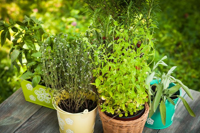 home garden herbs Top 7 Best Ideas to Revamp Your Garden - 28