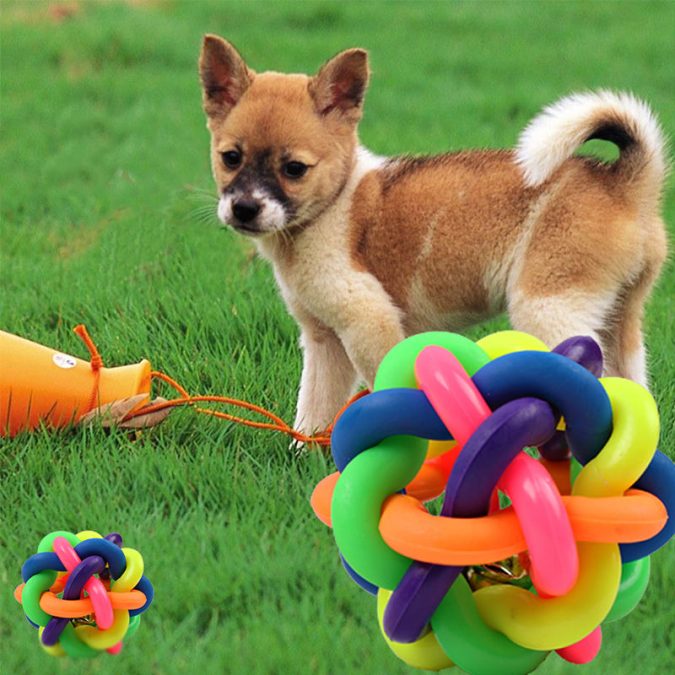 home garden pet Top 7 Best Ideas to Revamp Your Garden - 14