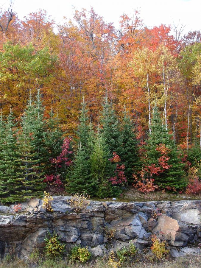 5 Hidden Gems to Visit in Canada 17 Algonquin Park Canada 3 5 Hidden Gems to Visit in Canada - 17