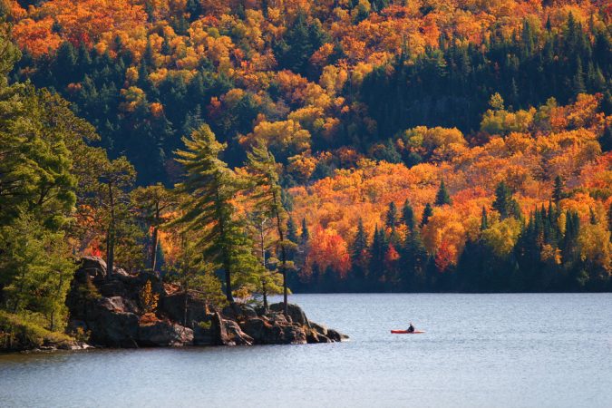 5 Hidden Gems to Visit in Canada 18 Algonquin Park Canada 5 Hidden Gems to Visit in Canada - 18