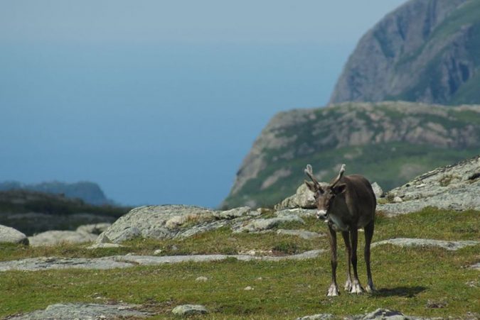 Gros-Morne-National-Park-Canada-4-675x451 5 Hidden Gems to Visit in Canada