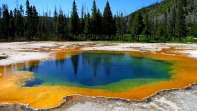 Top 7 Best Places to Visit while Study in the USA 1 download 1 Top 7 Best Places to Visit while Study in the USA - 1
