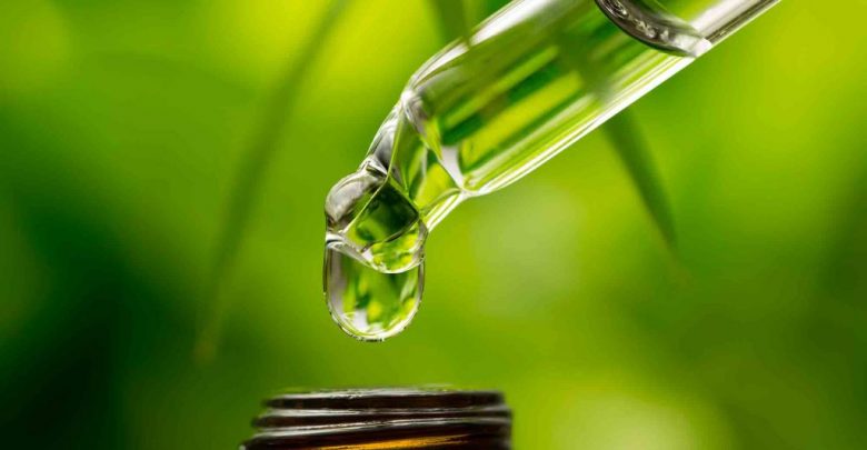 Cannabis oil for dogs 3 10 Reasons Why Your Dog Needs Cannabis Oil - Dogs' health 1
