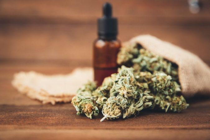 Cannabis oil for dogs 10 Reasons Why Your Dog Needs Cannabis Oil - 1