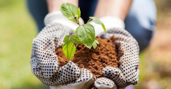 Creating an Environmentally Friendly Garden through Xeriscaping 6 gardening 2 Creating an Environmentally Friendly Garden through Xeriscaping - 6
