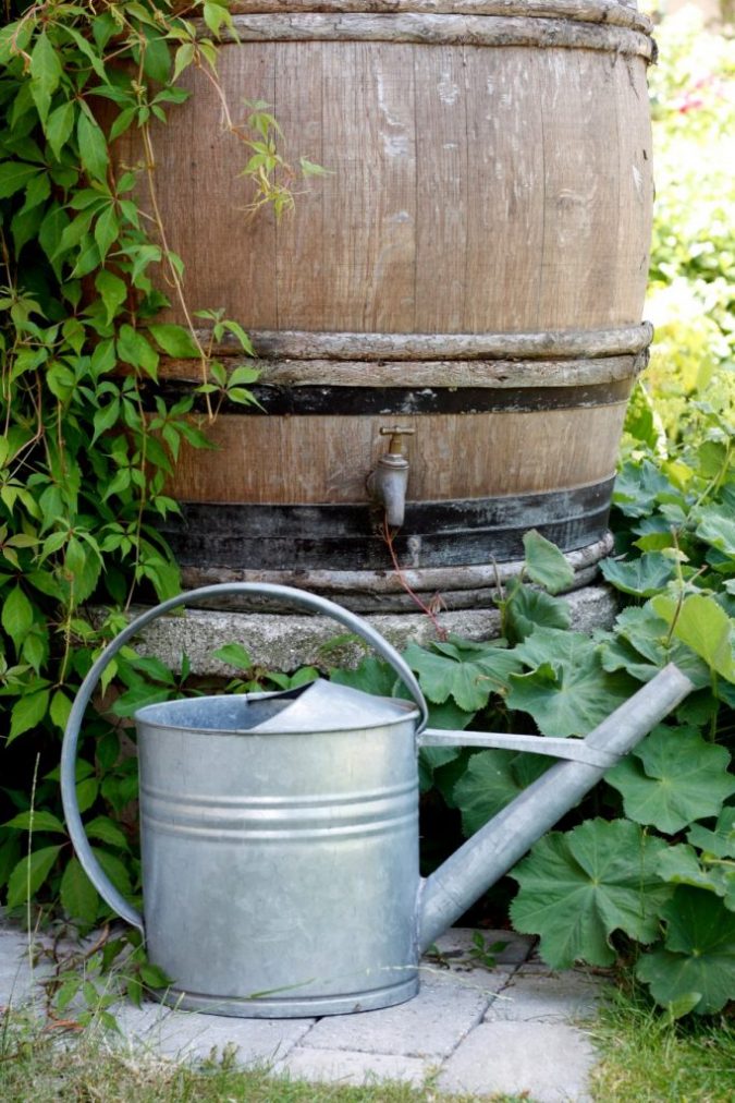 Creating an Environmentally Friendly Garden through Xeriscaping 2 gardening Colling water in a rainbarrel Creating an Environmentally Friendly Garden through Xeriscaping - 2