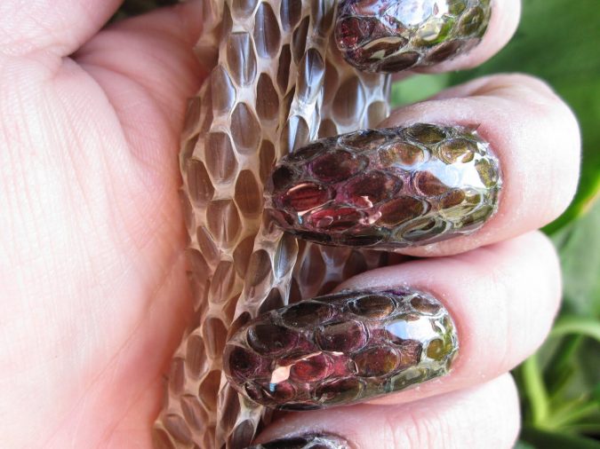snakeskin-nail-art-675x506 60+ Most Fabulous Winter Nail Design Ideas This Year