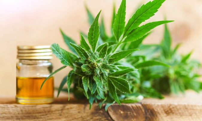 CBD-oil-cannabis-2-675x403 Here's Why You Need CBD Oil For Pain Relief?
