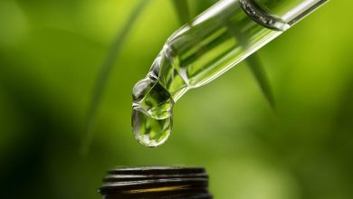 Here's Why You Need CBD Oil For Pain Relief? 29 CBD oil cannabis 3 Here's Why You Need CBD Oil For Pain Relief? - 29