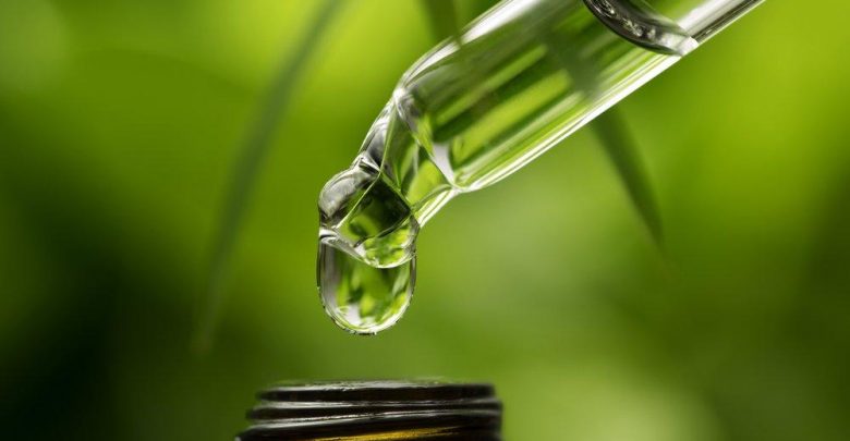 Here's Why You Need CBD Oil For Pain Relief? 82 CBD oil cannabis 3 Here's Why You Need CBD Oil For Pain Relief? - CBD oil 81
