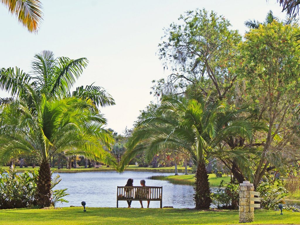 Fairchild Tropical Botanic Garden Top 6 Outdoor Activities Miami Has to Offer - 7