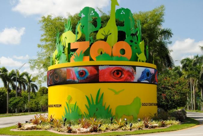 Zoo Miami Top 6 Outdoor Activities Miami Has to Offer - 11