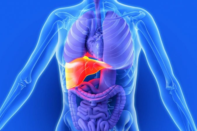 liver damage. Top 10 Food Supplements That Can Ruin the Liver - 6