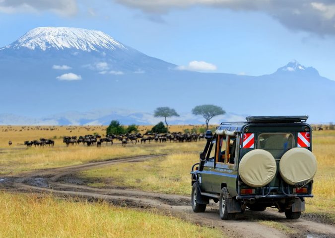 african-safari-travel-675x479 6 Types of Outdoor Travel Adventures to Experience