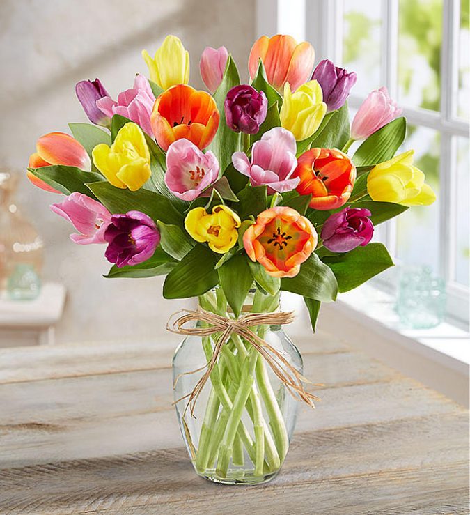 cut flowers tulips How to Make Cut Flowers Last Longer? - 4