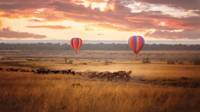 hot air balloon kenya safari travel 6 Types of Outdoor Travel Adventures to Experience - 12