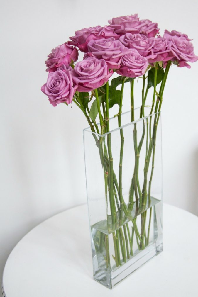 pink roses in vase How to Make Cut Flowers Last Longer? - 8