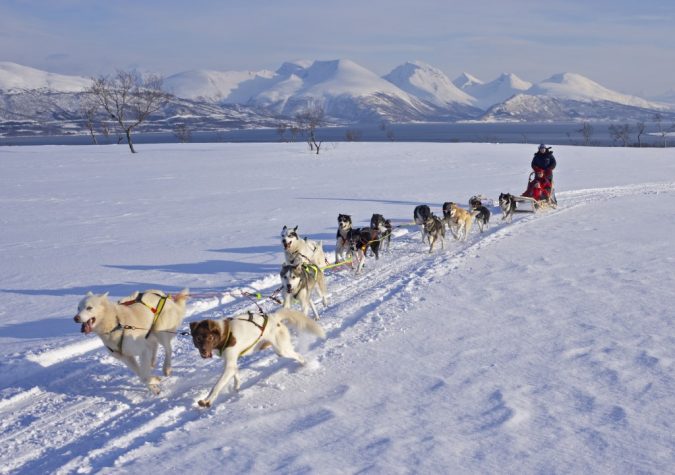 travel-Dogsledding-675x475 6 Types of Outdoor Travel Adventures to Experience