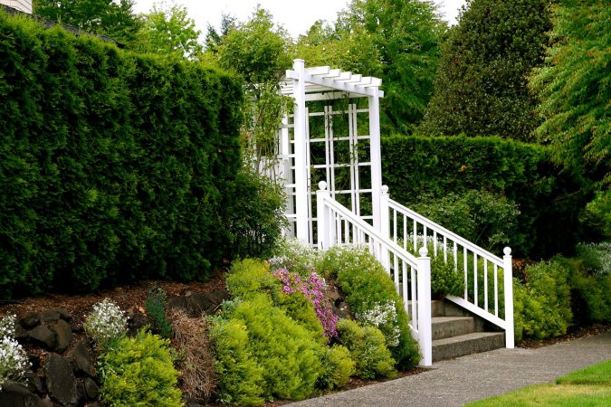 Establish focal points in your garden. Yard Care Tips You Don’t Want to Miss - 6