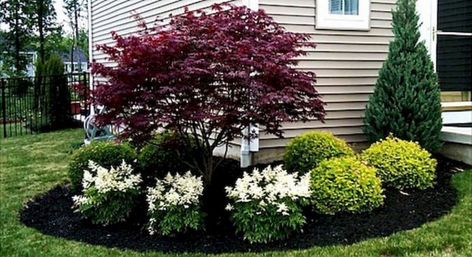Plant a lot of flowers Yard Care Tips You Don’t Want to Miss - 10