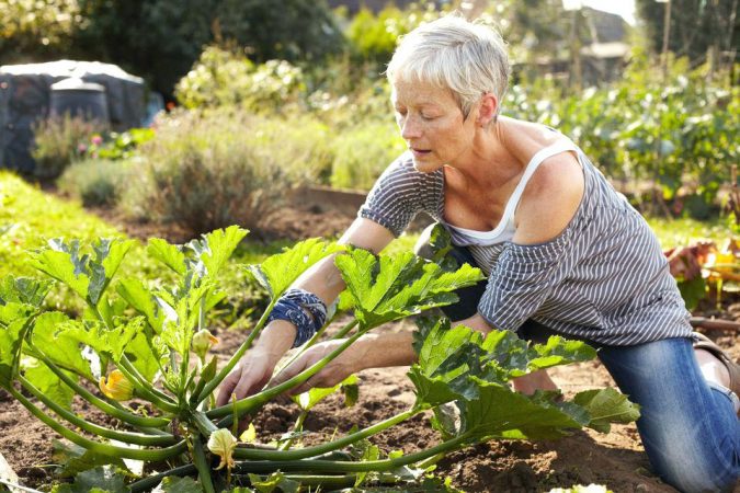 garden focal points Yard Care Tips You Don’t Want to Miss - 4