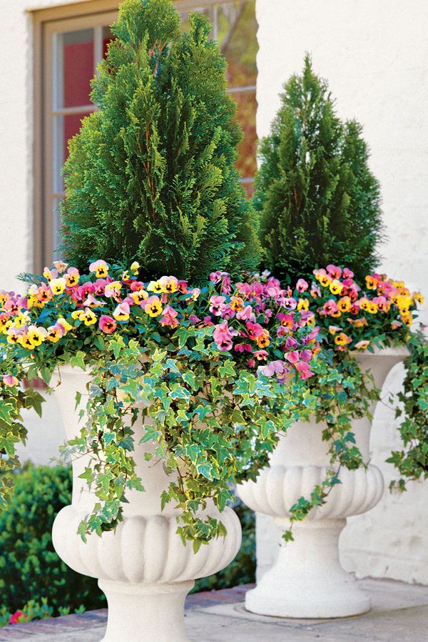 gardening ideas Yard Care Tips You Don’t Want to Miss - 12