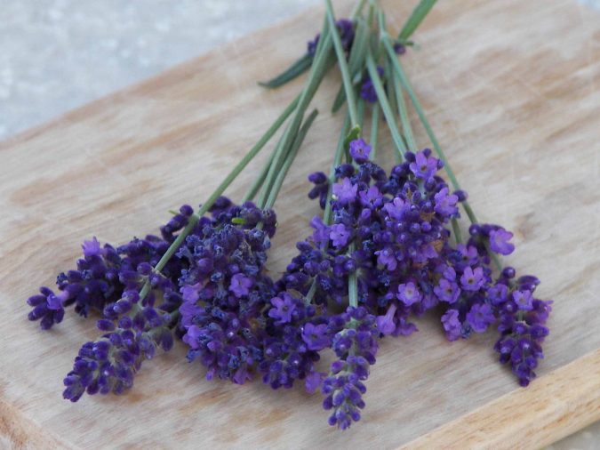 lavender 1 Top 15 Creative Mother's Day Gift Ideas - 16