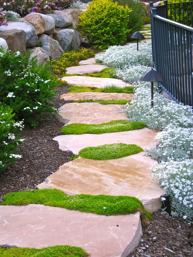 pathways in high traffic Yard Care Tips You Don’t Want to Miss - 8