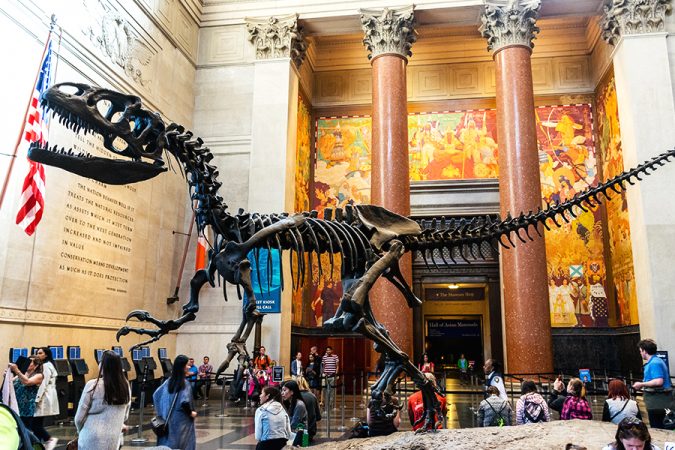 8 Best Travel Destinations in June 6 American Museum of Natural History 8 Best Travel Destinations in June - 6