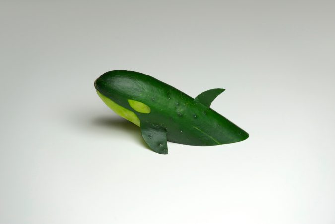 Brock Davis food art. Top 10 Best Food Artists in the World - 57 best food artists