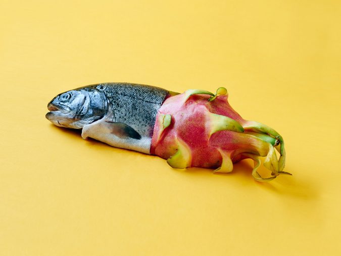 Maciek Jasik art Top 10 Best Food Artists in the World - 47 best food artists