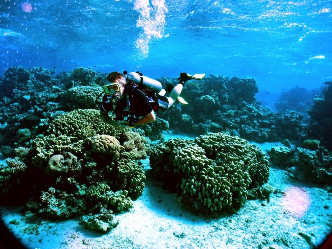 8 Best Travel Destinations in June 47 diving and snorkeling the Red Sea in Jordan 8 Best Travel Destinations in June - 47