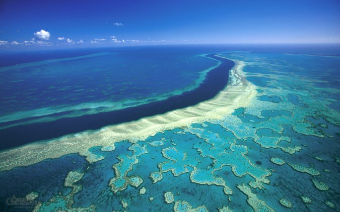 Australia-Great-Barrier-Reef-675x422 Top 10 Most Luxurious Cruises for Couples