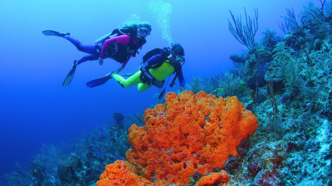 Orange Bowl reef Bahamas Top 10 Most Luxurious Cruises for Couples - 12