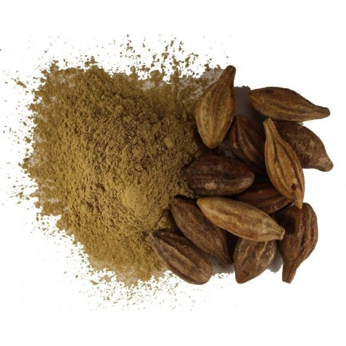 8 Natural Supplements You Should Add to Your Health Regimen 5 Terminalia Chebula. 8 Natural Supplements You Should Add to Your Health Regimen - 5