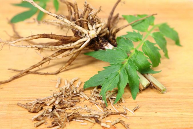 valerian root 8 Natural Supplements You Should Add to Your Health Regimen - 7