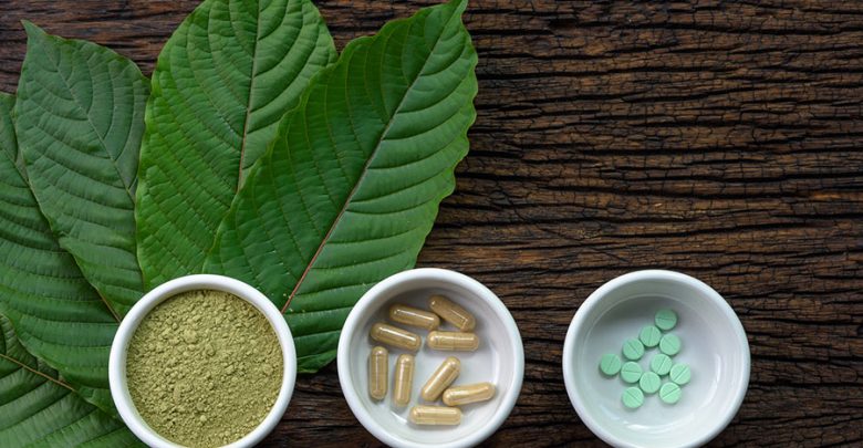 Who Is a Good Candidate to Buy Kratom Powder and Capsules? 5 Kratom plant extracts Who Is a Good Candidate to Buy Kratom Powder and Capsules? - Kratom 5